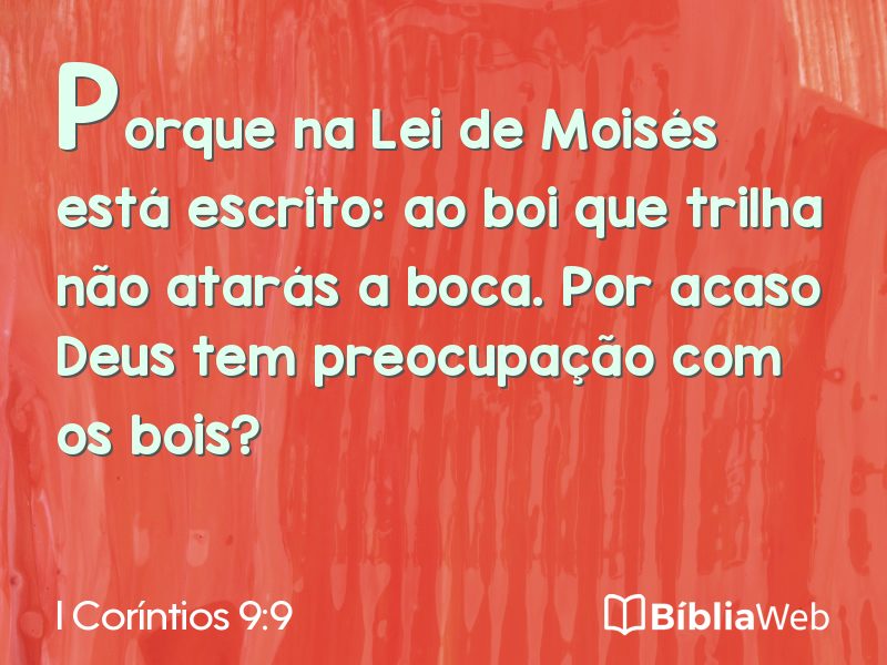 I Coríntios 9:9 em imagem para compartilhar