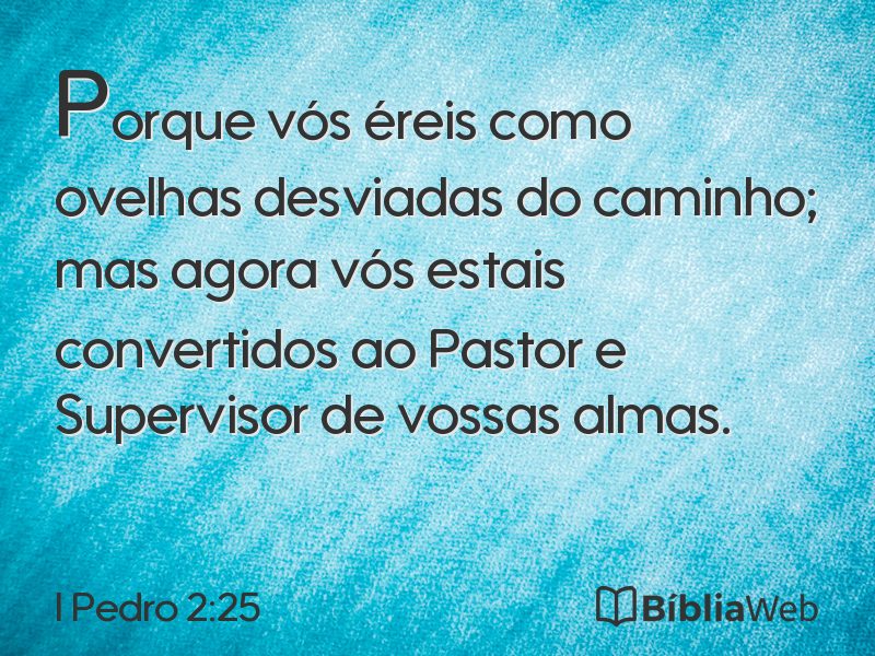 I Pedro 2:25 em imagem para compartilhar