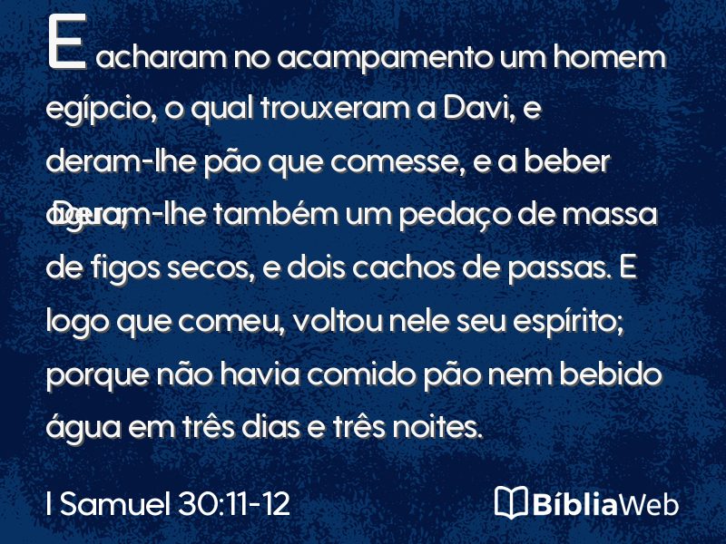 I Samuel 30:11-12 em imagem para compartilhar
