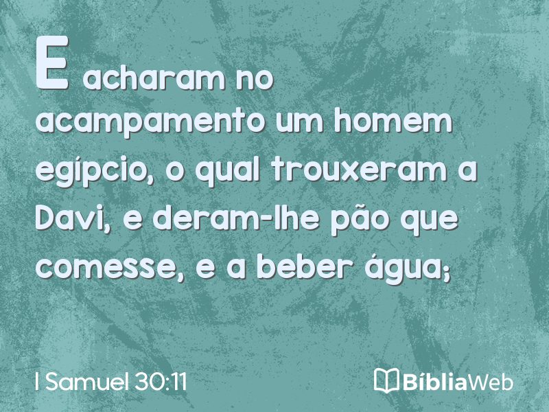I Samuel 30:11 em imagem para compartilhar