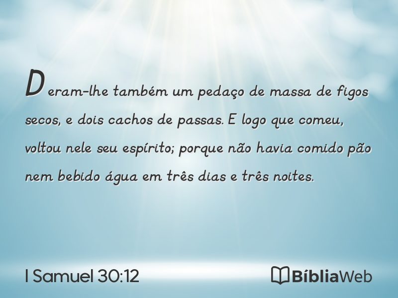 I Samuel 30:12 em imagem para compartilhar