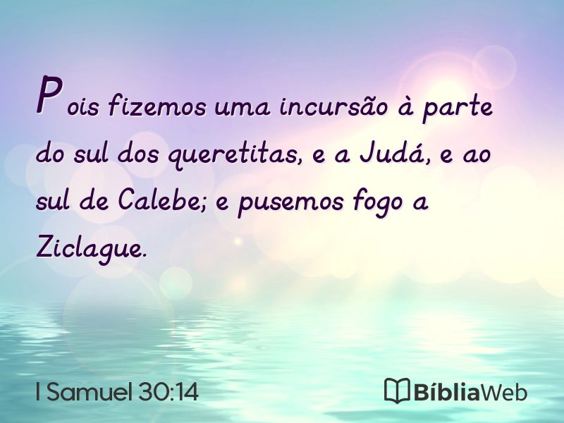 I Samuel 30:14 em imagem para compartilhar