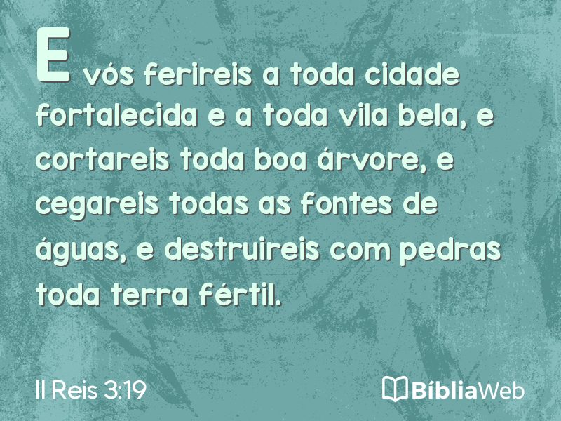 II Reis 3:19 em imagem para compartilhar