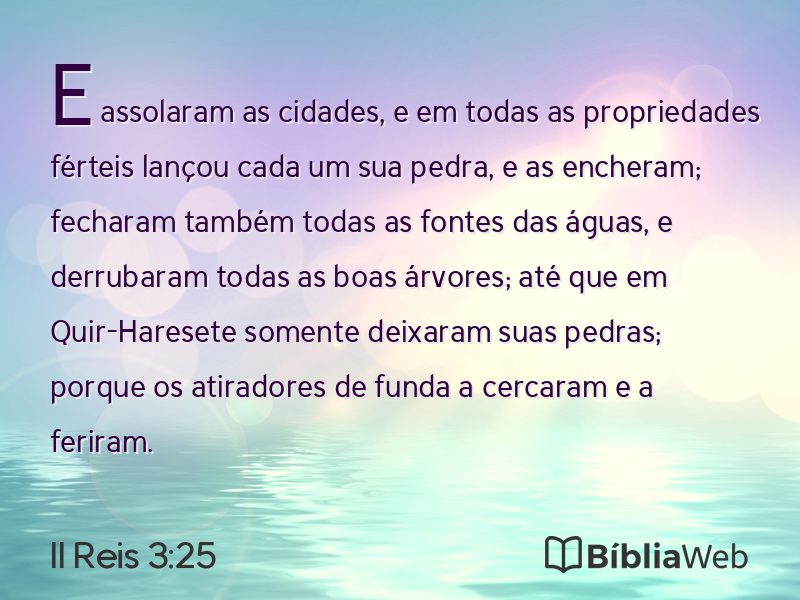 II Reis 3:25 em imagem para compartilhar