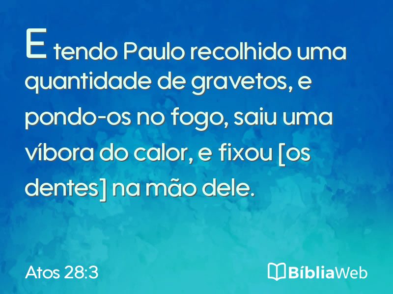Atos 28:3 em imagem para compartilhar