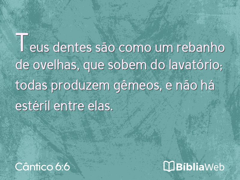 Cântico 6:6 em imagem para compartilhar