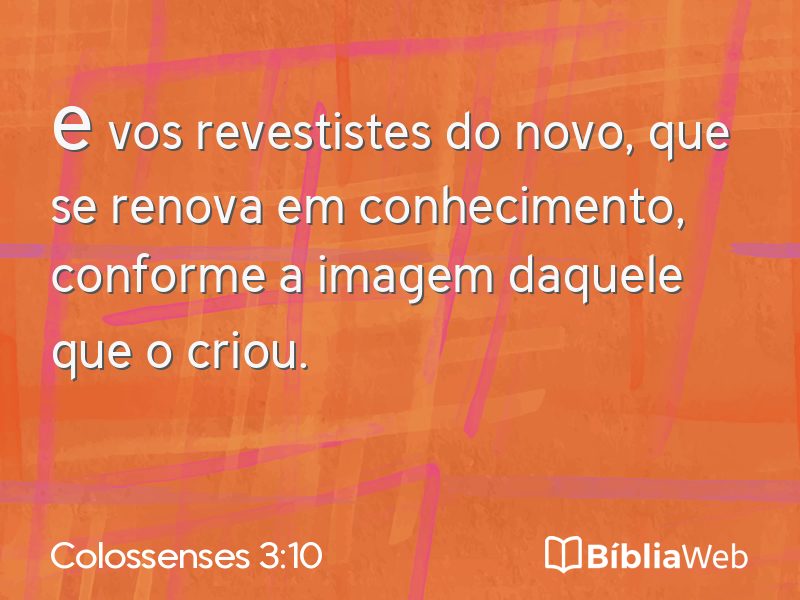 Colossenses 3:10 em imagem para compartilhar