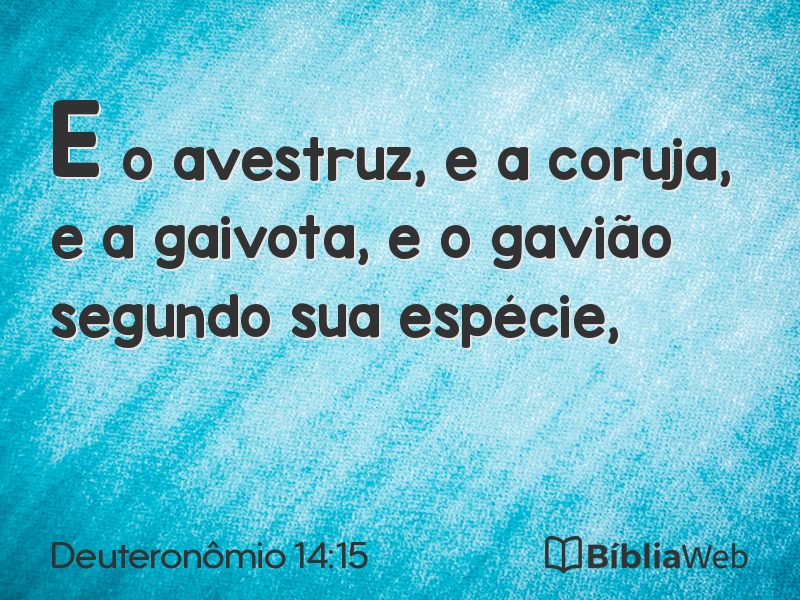 Deuteronômio 14:15 em imagem para compartilhar