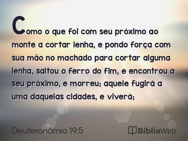 Deuteronômio 19:5 em imagem para compartilhar