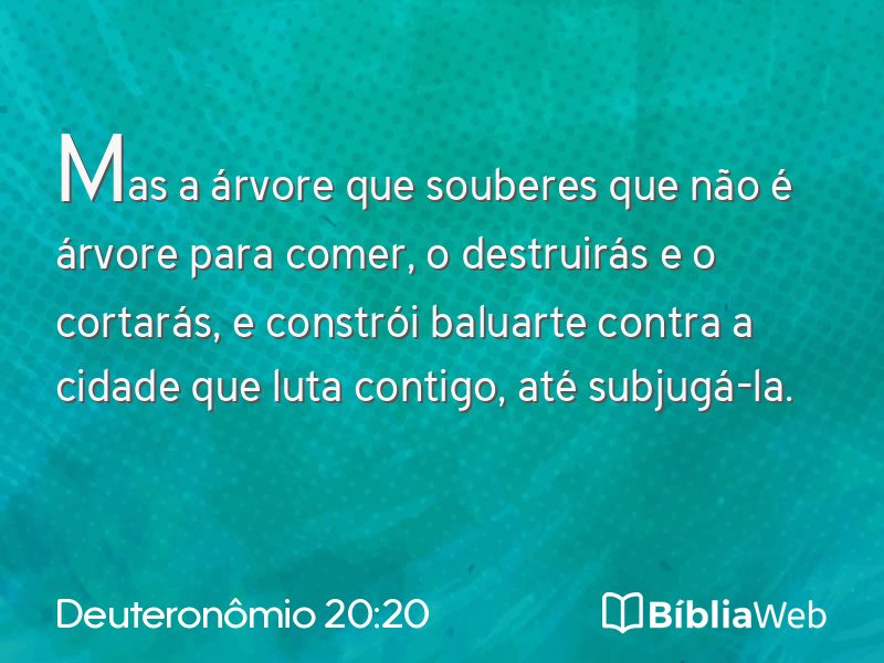 Deuteronômio 20:20 em imagem para compartilhar