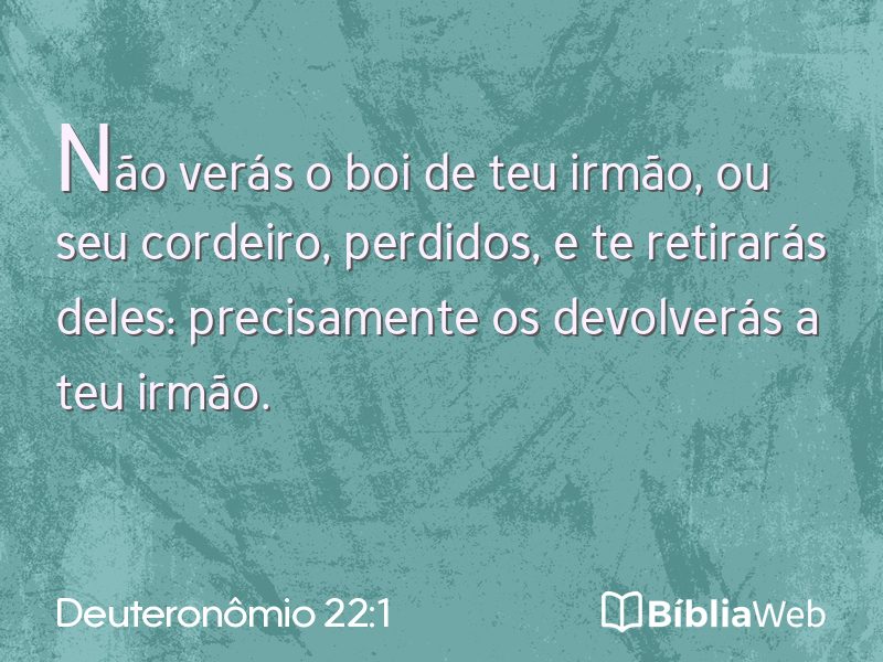 Deuteronômio 22:1 em imagem para compartilhar