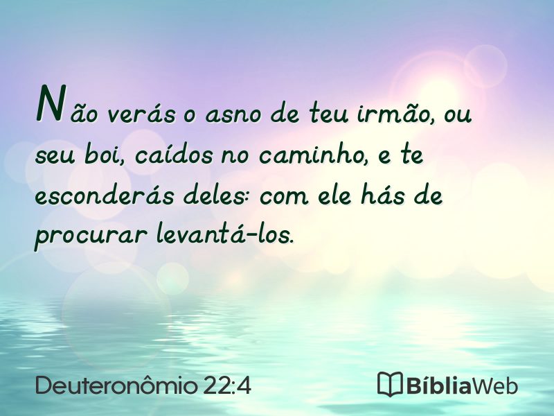 Deuteronômio 22:4 em imagem para compartilhar