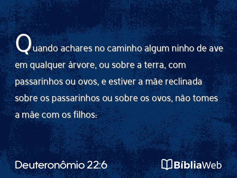 Deuteronômio 22:6 em imagem para compartilhar