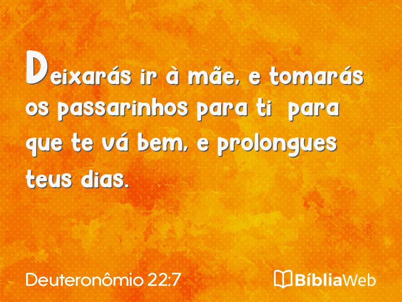 Deuteronômio 22:7 em imagem para compartilhar