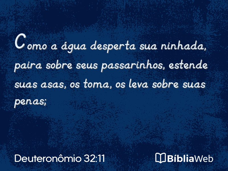 Deuteronômio 32:11 em imagem para compartilhar