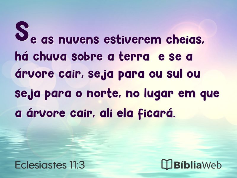 Eclesiastes 11:3 em imagem para compartilhar