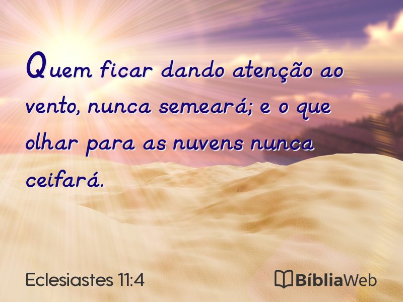 Eclesiastes 11:4 em imagem para compartilhar