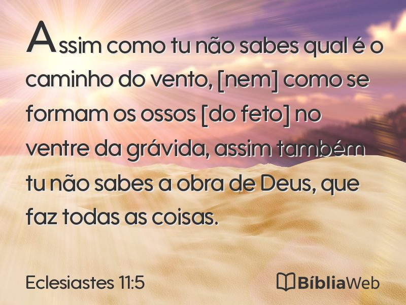 Eclesiastes 11:5 em imagem para compartilhar