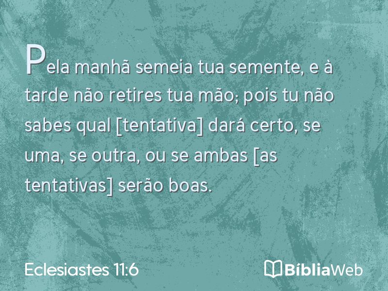 Eclesiastes 11:6 em imagem para compartilhar
