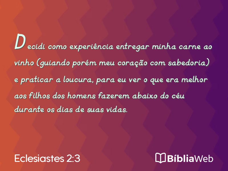 Eclesiastes 2:3 em imagem para compartilhar