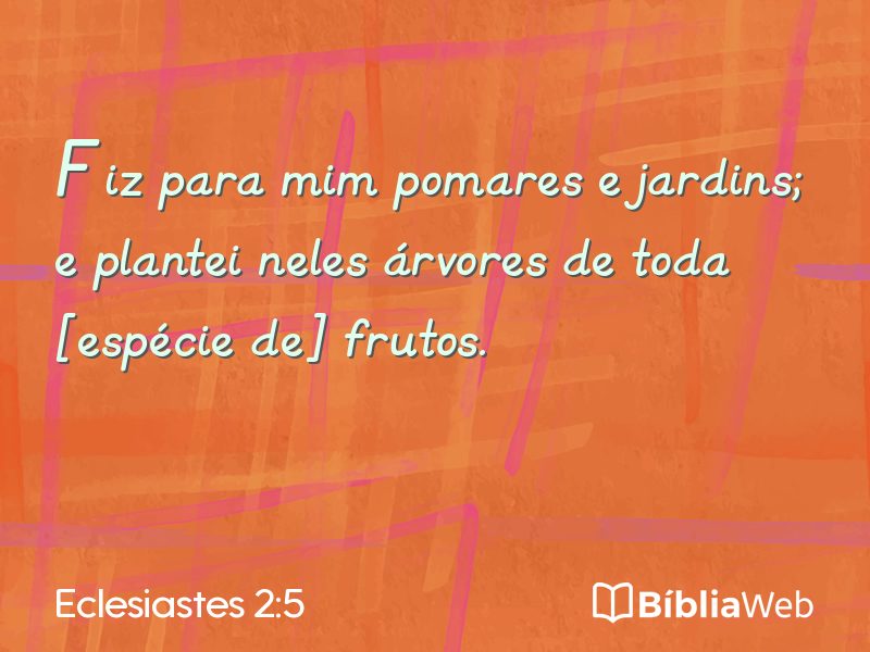 Eclesiastes 2:5 em imagem para compartilhar