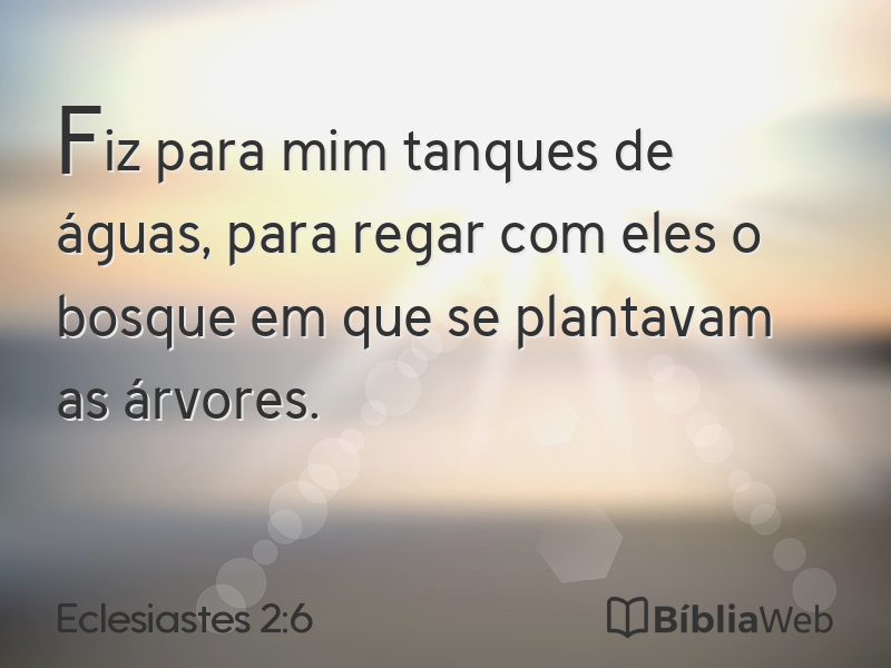 Eclesiastes 2:6 em imagem para compartilhar