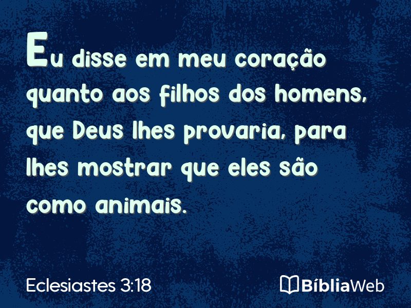 Eclesiastes 3:18 em imagem para compartilhar