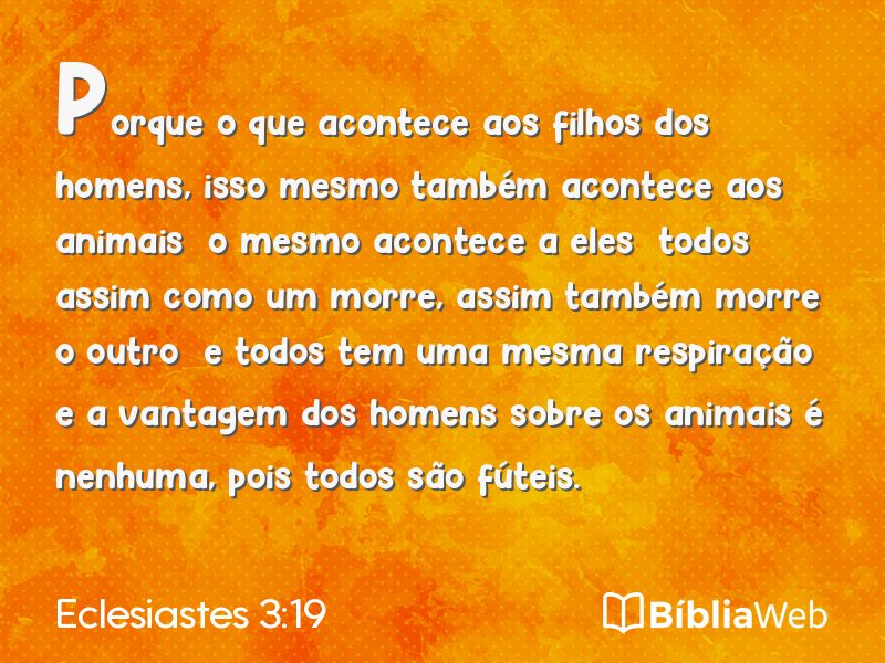 Eclesiastes 3:19 em imagem para compartilhar