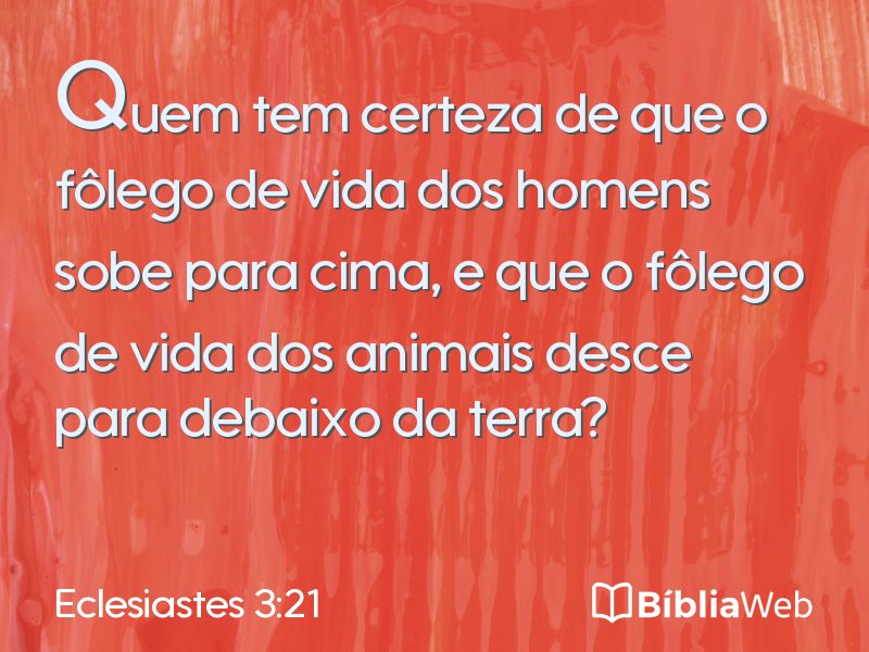 Eclesiastes 3:21 em imagem para compartilhar