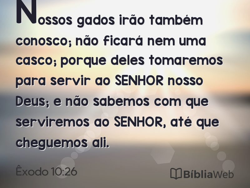 Êxodo 10:26 em imagem para compartilhar