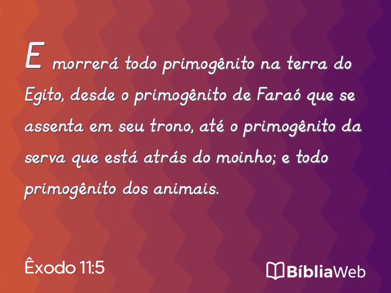 Êxodo 11:5 em imagem para compartilhar