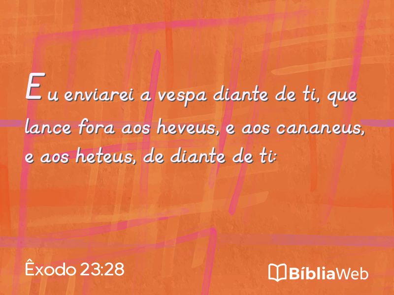 Êxodo 23:28 em imagem para compartilhar