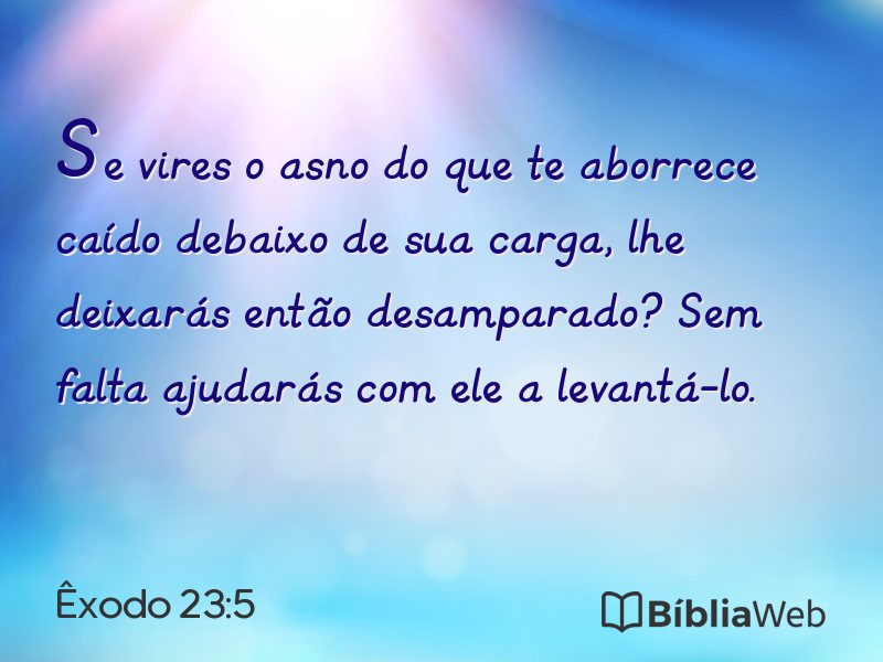Êxodo 23:5 em imagem para compartilhar