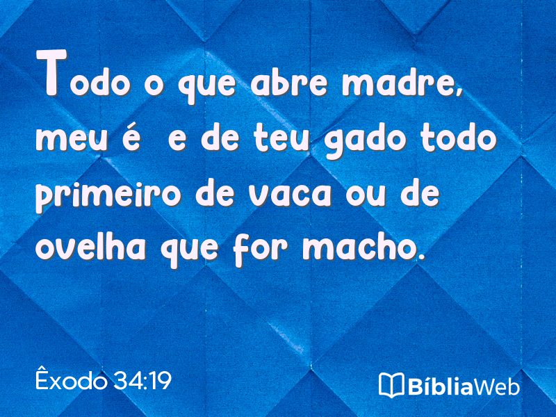 Êxodo 34:19 em imagem para compartilhar
