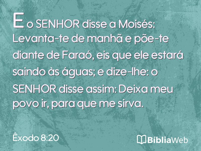 Êxodo 8:20 em imagem para compartilhar