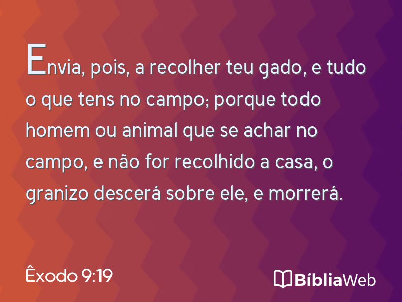 Êxodo 9:19 em imagem para compartilhar
