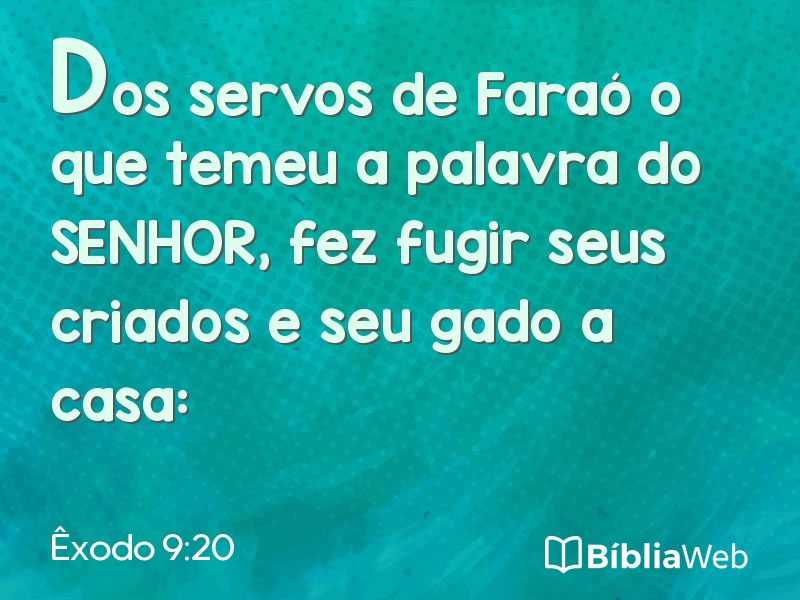 Êxodo 9:20 em imagem para compartilhar