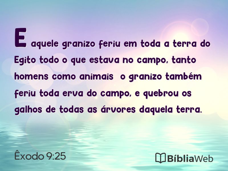 Êxodo 9:25 em imagem para compartilhar