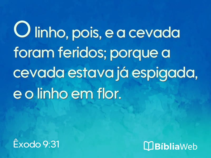 Êxodo 9:31 em imagem para compartilhar