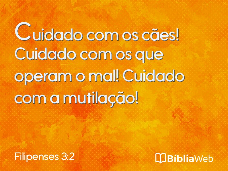 Filipenses 3:2 em imagem para compartilhar