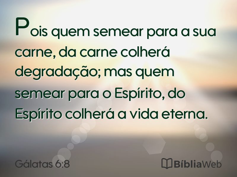 Gálatas 6:8 em imagem para compartilhar