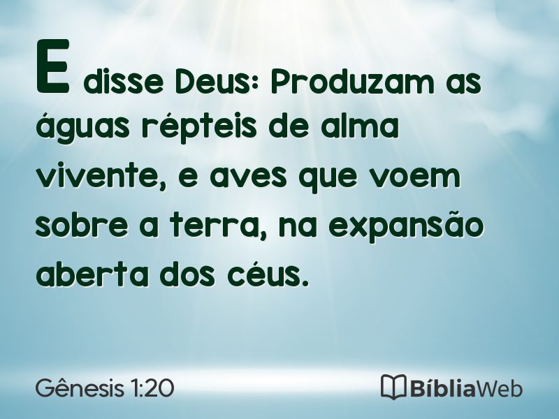 Gênesis 1:20 em imagem para compartilhar