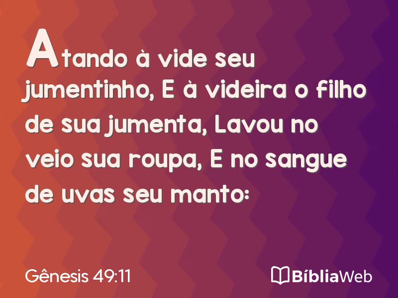 Gênesis 49:11 em imagem para compartilhar