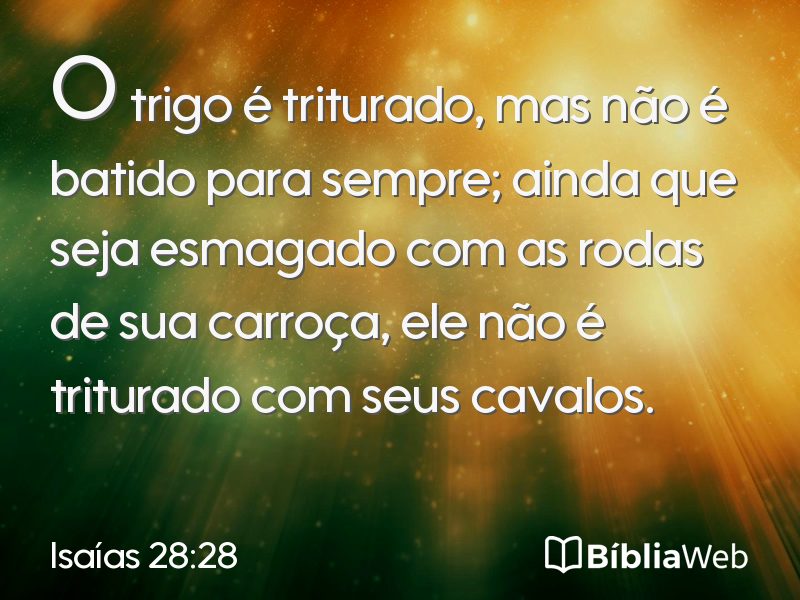 Isaías 28:28 em imagem para compartilhar