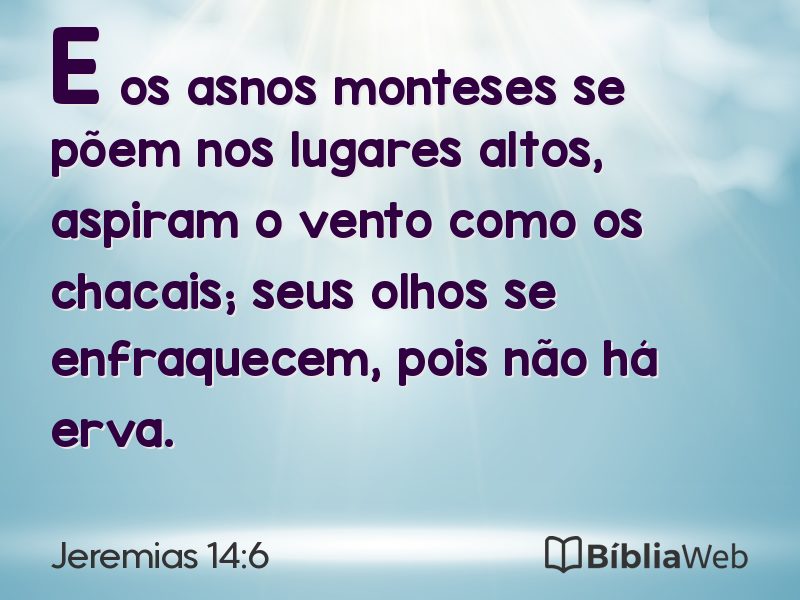 Jeremias 14:6 em imagem para compartilhar