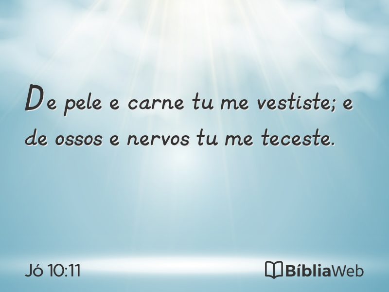 Jó 10:11 em imagem para compartilhar