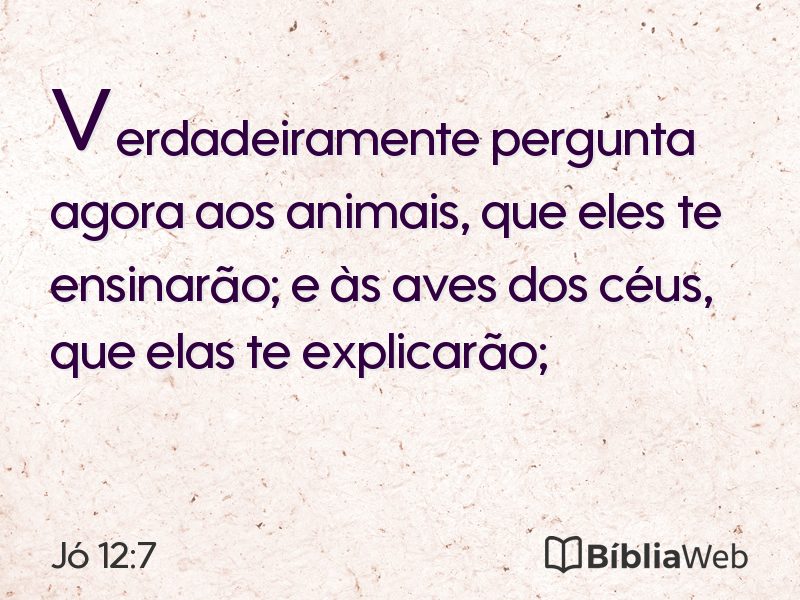 Jó 12:7 em imagem para compartilhar