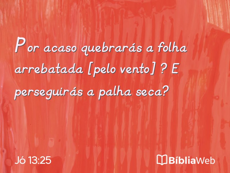 Jó 13:25 em imagem para compartilhar