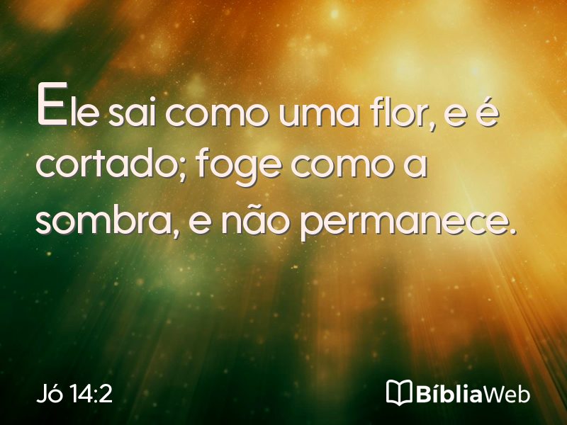 Jó 14:2 em imagem para compartilhar