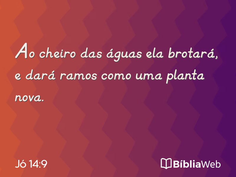 Jó 14:9 em imagem para compartilhar
